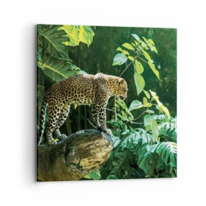 Bild auf Leinwand - Leinwandbild - Auf die Jagd? - 70x70 cm