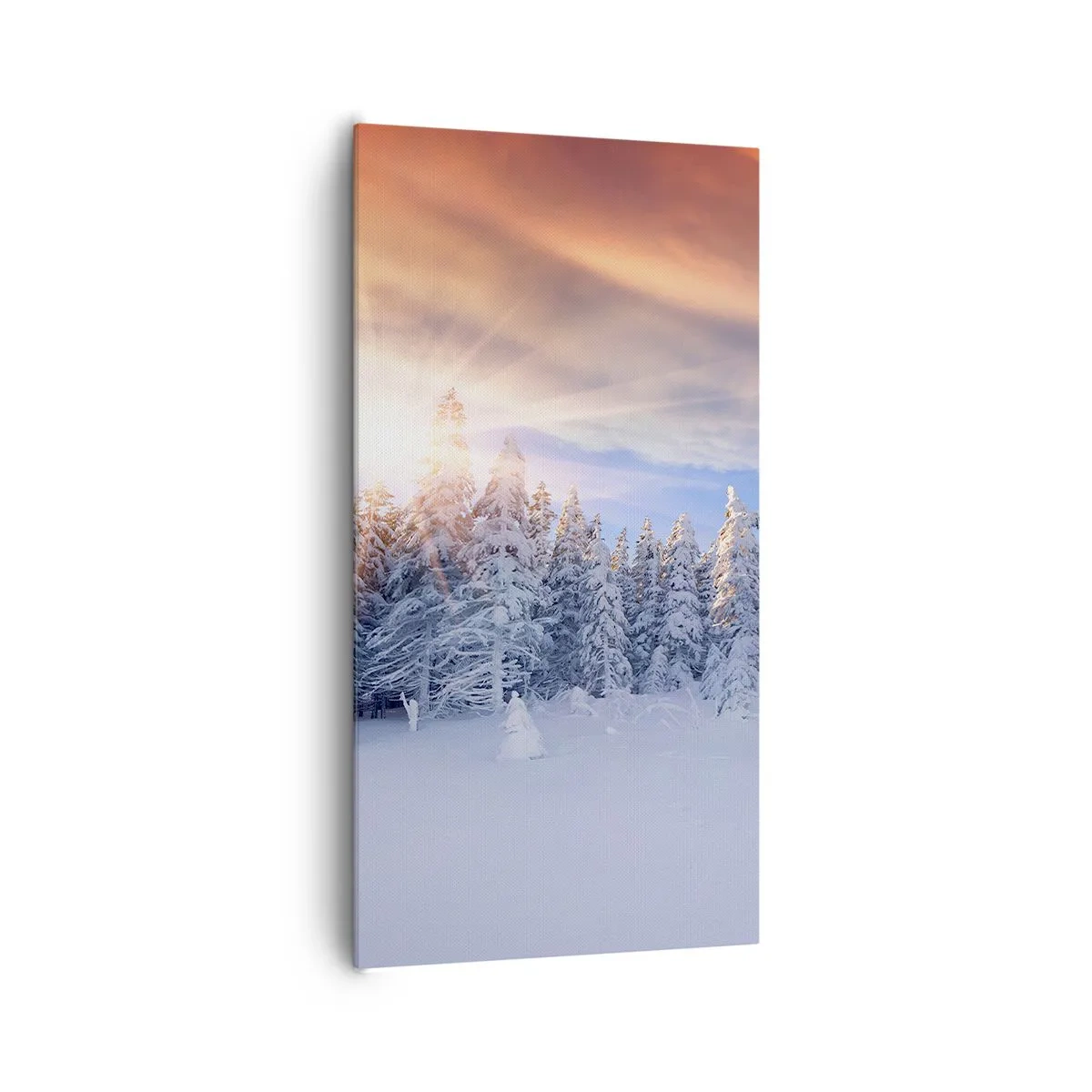 Bild auf Leinwand - Leinwandbild - Ein verschneites Naturschauspiel - 65x120 cm