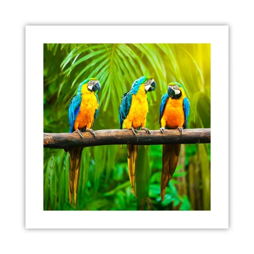 Poster - Und hast du gehört, dass sie ...? - 40x40 cm