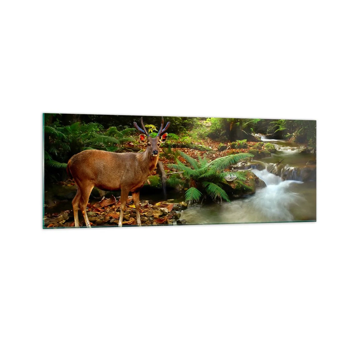 Glasbild - Bild auf glas - Ein Reh an einem Bach, umgeben von Grün im Wald - 140x50cm - Willkommen in meiner Welt - Moderne Wanddekoration für Wohnzimmer und Schlafzimmer ARTTOR