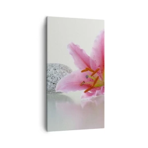 Bild auf Leinwand - Leinwandbild - Eine Studie in Pink, Grau und Weiß - 45x80 cm