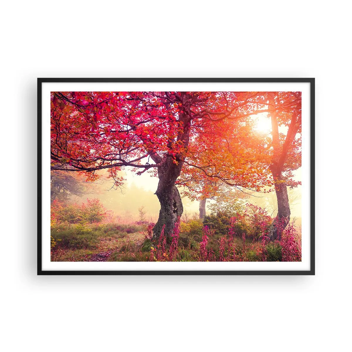 Poster in einem schwarzem Rahmen - Herbstlandschaft mit Bäumen in intensiven Farben - 100x70cm - Blühende Raserei - Moderne Wanddekoration für Wohnzimmer und Schlafzimmer ARTTOR