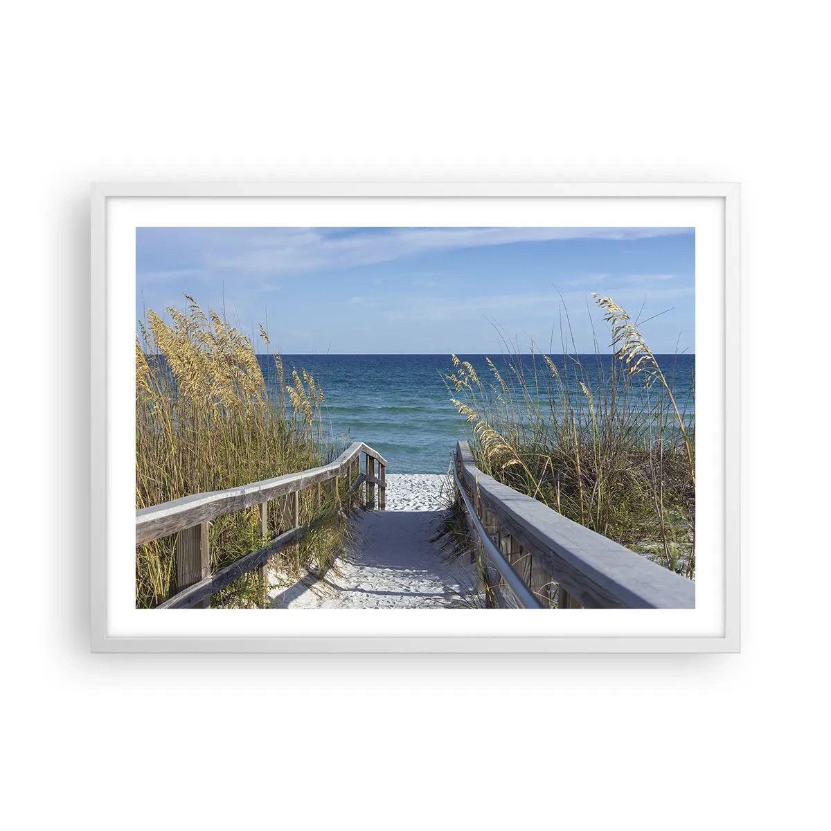 Poster in einem weißen Rahmen - In der Sonne, im Wind - 70x50 cm