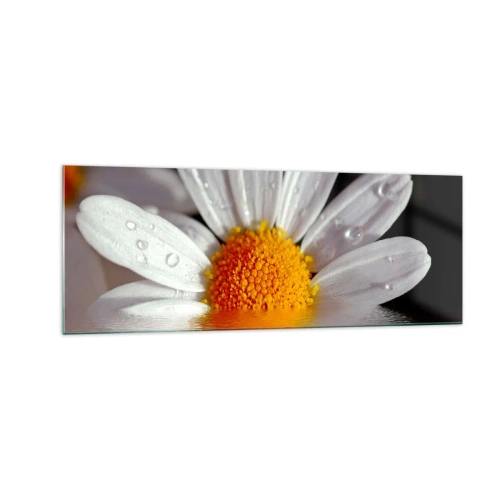 Glasbild - Bild auf glas - Ein weißes Gänseblümchen mit Wassertropfen, eingetaucht in eine Wasserspiegelung - 140x50cm - Die aufgehende Sonne der Gänseblümchen - Moderne Wanddekoration für Wohnzimmer und Schlafzimmer ARTTOR