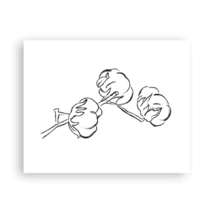 Poster - Baumwolldaunen - 50x40 cm