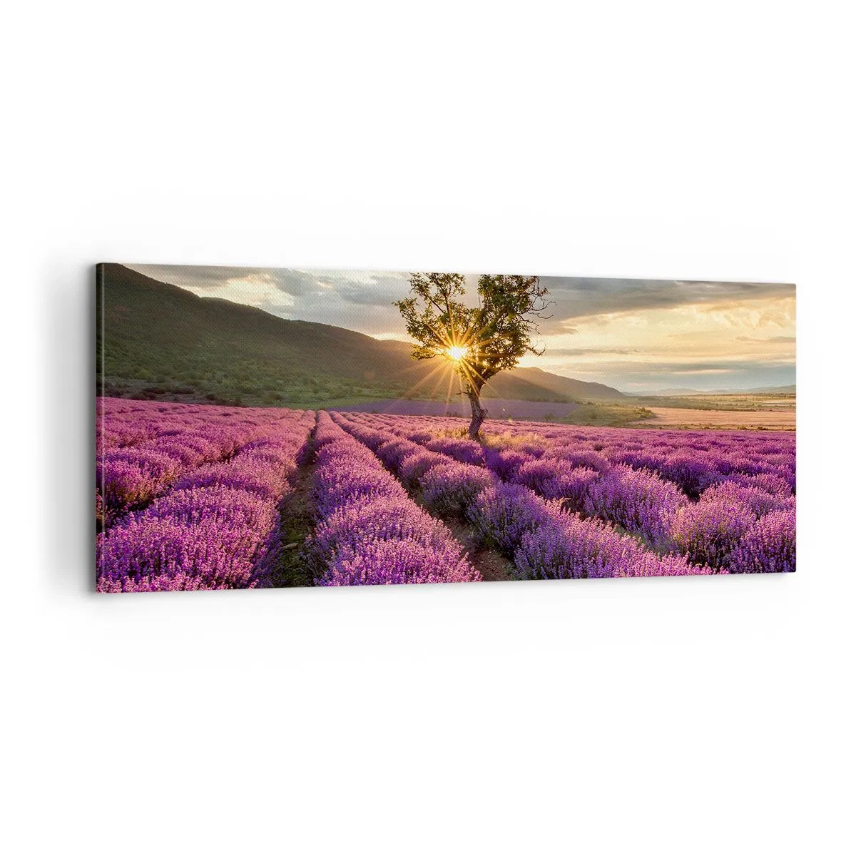 Bild auf Leinwand - Leinwandbild - Fliederfarbenes Aroma - 100x40 cm