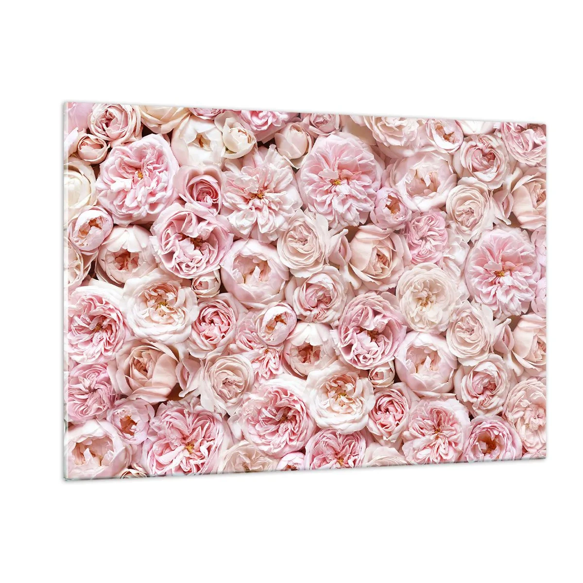 Glasbild - Bild auf glas - Pastellrosen in einem dichten Blumenarrangement - 120x80cm - Auf Rosen gebettet - Moderne Wanddekoration für Wohnzimmer und Schlafzimmer ARTTOR