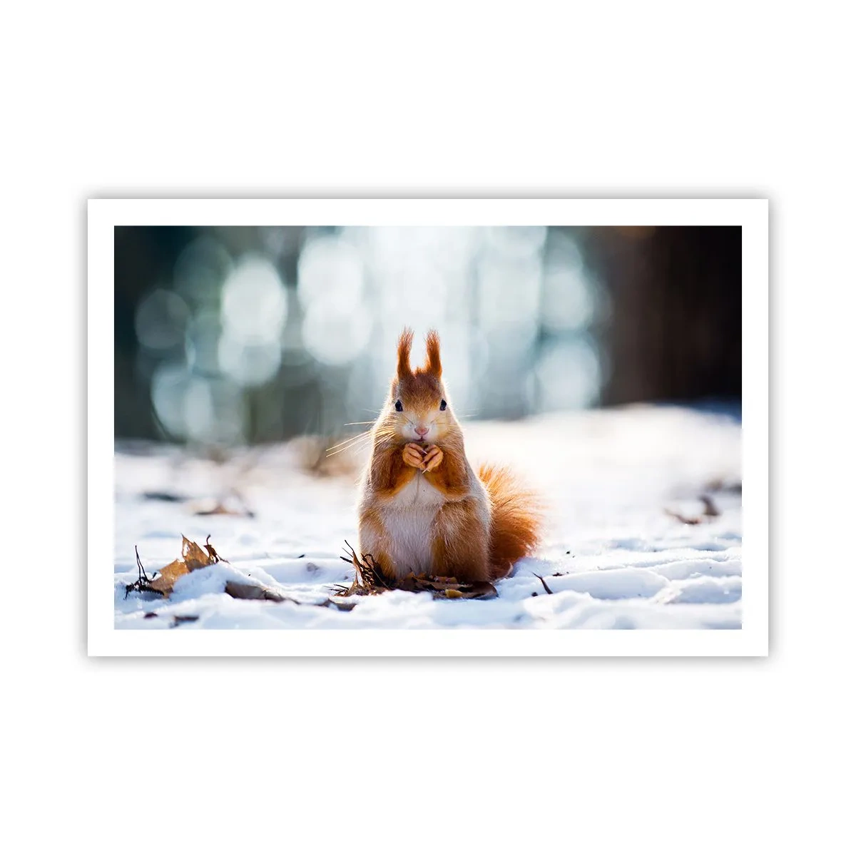 Poster - Wo schaust du hin? - 91x61 cm