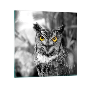 Glasbild - Bild auf glas - Nichts wird sich verstecken - 50x50 cm