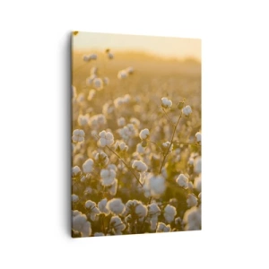 Bild auf Leinwand - Leinwandbild - Ein Baumwollfeld im warmen Licht der untergehenden Sonne - 50x70cm - Fluffiges Feld - Moderne Wanddekoration für Wohnzimmer und Schlafzimmer ARTTOR