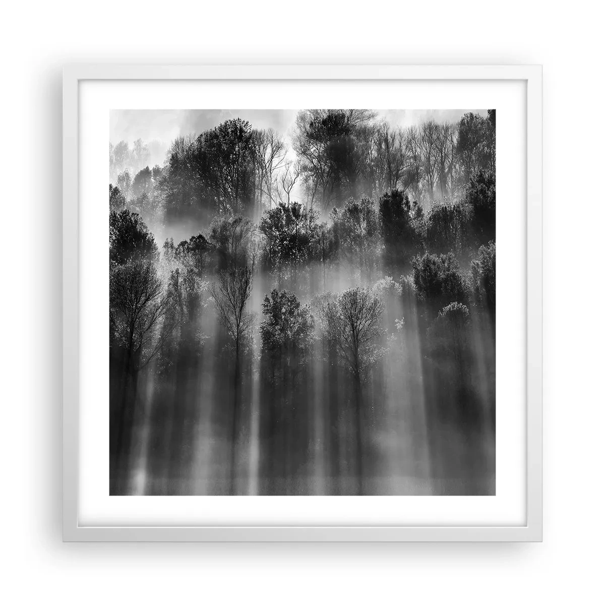 Poster in einem weißen Rahmen - In Lichtstrahlen - 50x50 cm