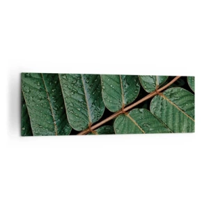 Bild auf Leinwand - Leinwandbild - Makroaufnahme von grünen Blättern mit Tautropfen - 160x50cm - Im grünen Rhythmus - Moderne Wanddekoration für Wohnzimmer und Schlafzimmer ARTTOR