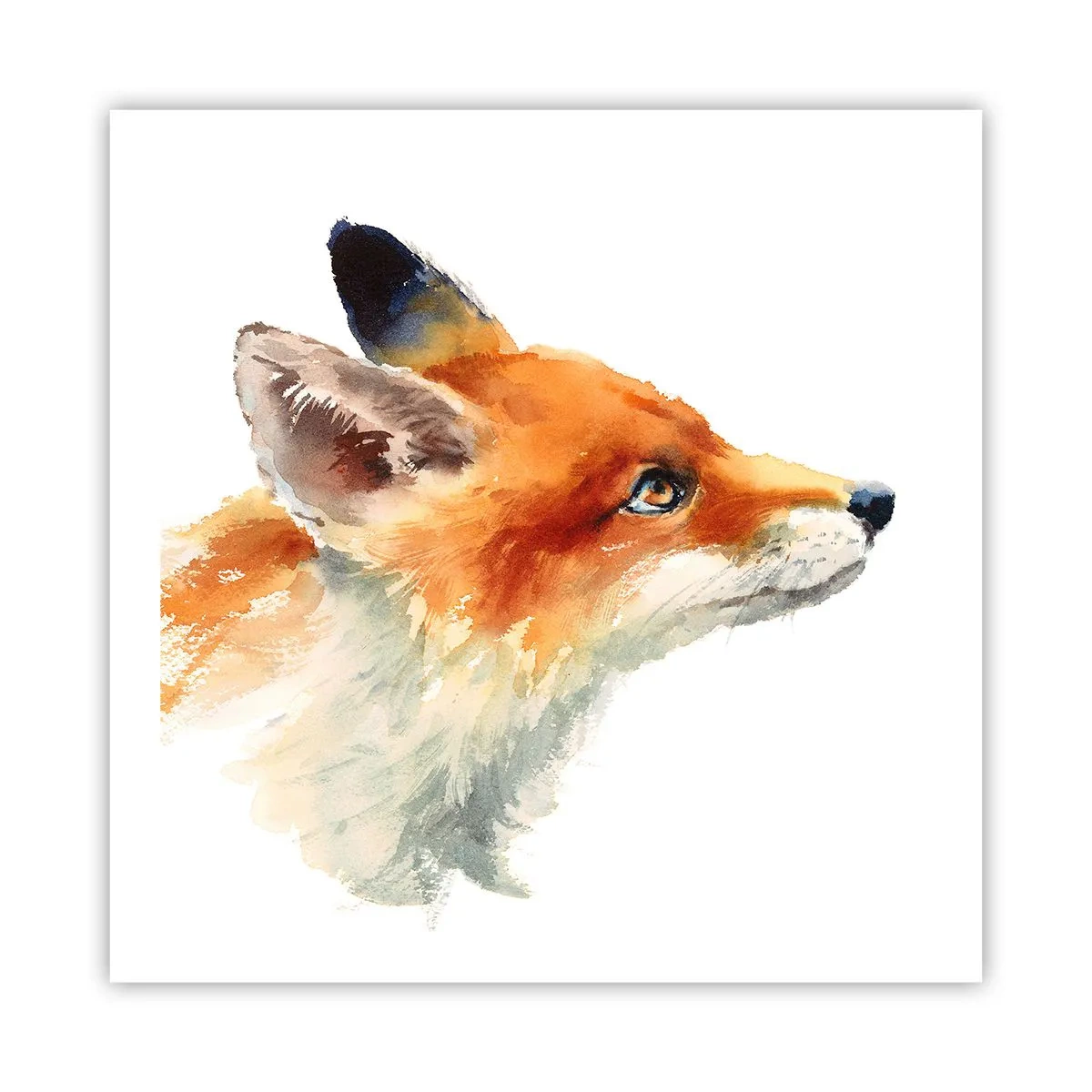 Poster - Man kann nie vorsichtig genug sein - 60x60 cm