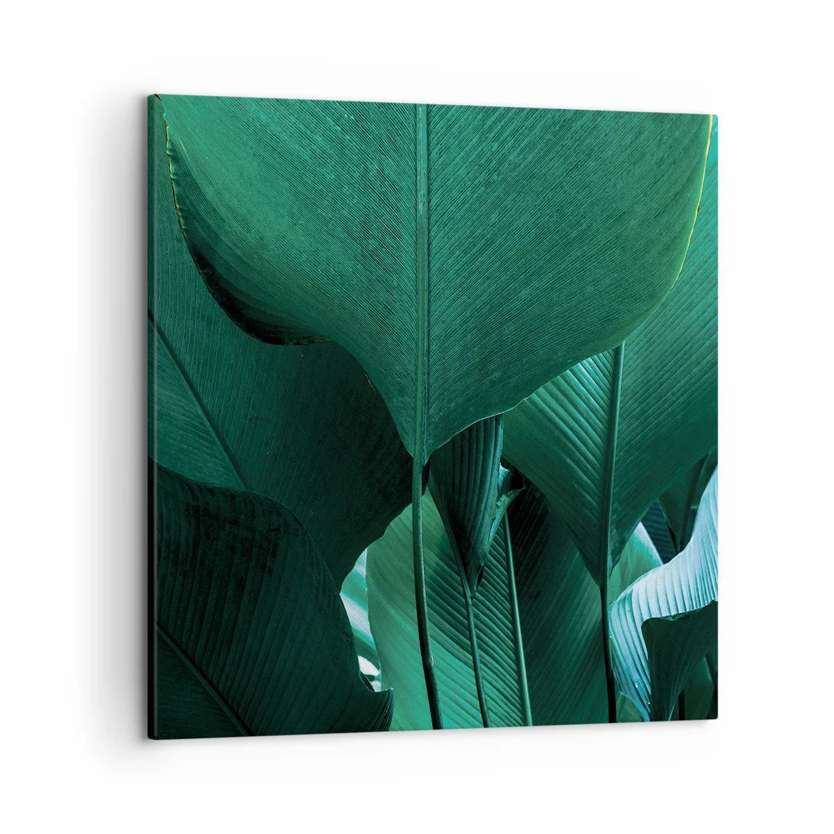 Bild auf Leinwand - Leinwandbild - Dem Licht zugewandt - 50x50 cm