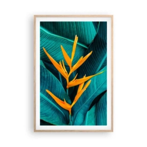 Poster in einem Rahmen aus heller Eiche - Eden-Blume - 61x91 cm