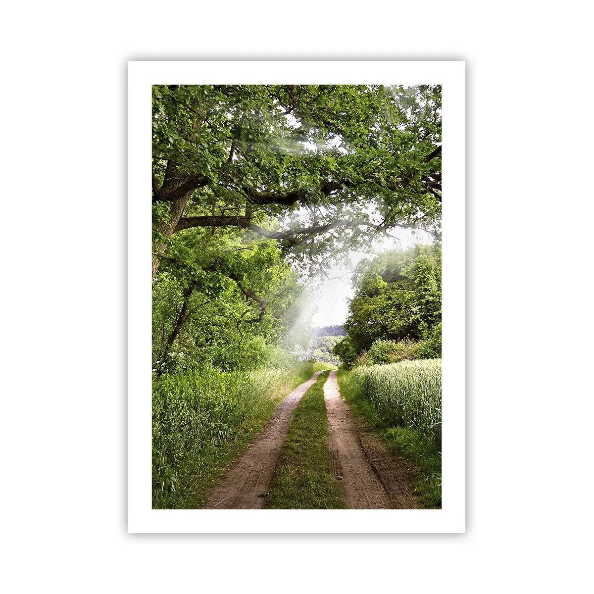 Poster - Eine schattige Schotterstraße, umgeben von üppigen grünen Bäumen und Wiesen - 50x70cm - Et in Arcadia ego - Moderne Wanddekoration für Wohnzimmer und Schlafzimmer ARTTOR