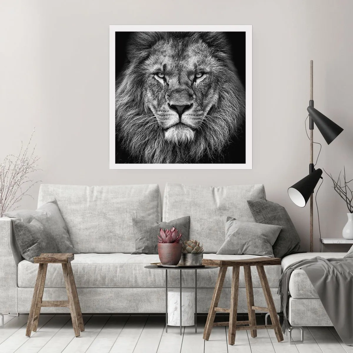 Poster - Im Krönungsgewand - 50x50 cm