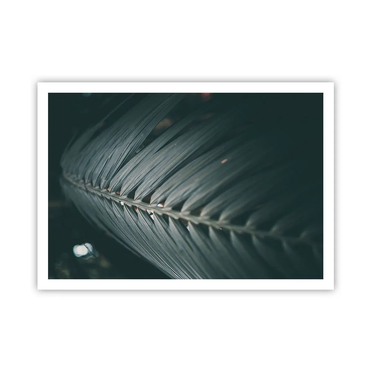 Poster - Nahaufnahme eines dunkel getönten Palmblattdetails - 100x70cm - Die Präzision der Natur - Moderne Wanddekoration für Wohnzimmer und Schlafzimmer ARTTOR