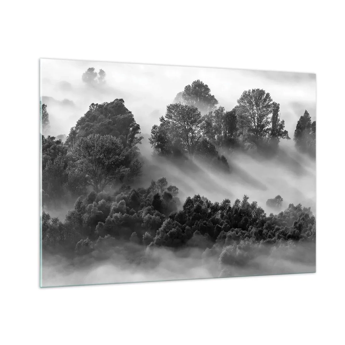 Glasbild - Bild auf glas - Nebliger Wald im Sonnenlicht in Schwarz und Weiß - 100x70cm - Aufstehend aus dem Schlaf - Moderne Wanddekoration für Wohnzimmer und Schlafzimmer ARTTOR