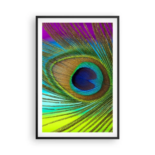 Poster in einem schwarzem Rahmen - Auge in Auge - 61x91 cm