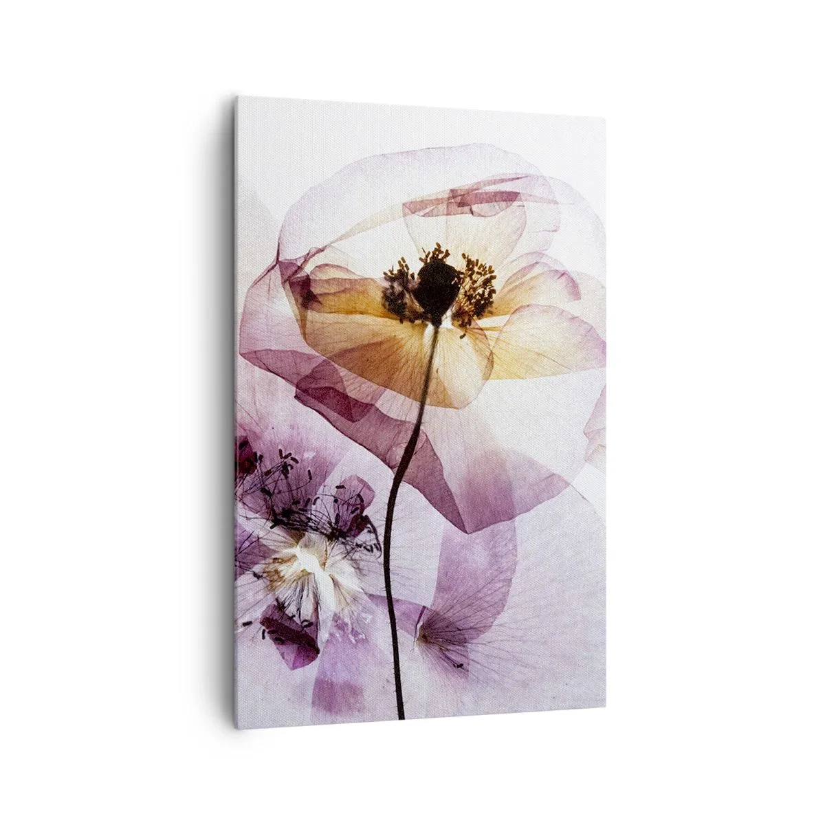 Bild auf Leinwand - Leinwandbild - Zarte transparente Blüten in Pastelltönen - 80x120cm - Transparente Körperblumen - Moderne Wanddekoration für Wohnzimmer und Schlafzimmer ARTTOR