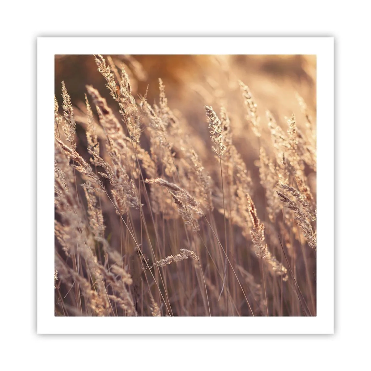 Poster - Bereit, den Herbst willkommen zu heißen - 60x60 cm