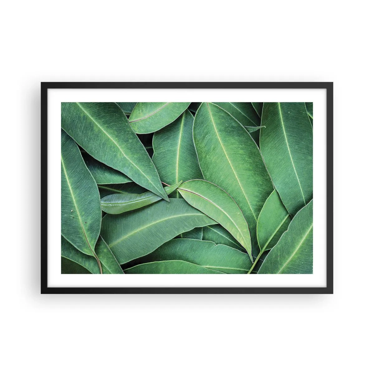 Poster in einem schwarzem Rahmen - Nahaufnahme von grünen Blättern, die ein natürliches Muster erzeugen - 70x50cm - Saftig und frisch - Moderne Wanddekoration für Wohnzimmer und Schlafzimmer ARTTOR