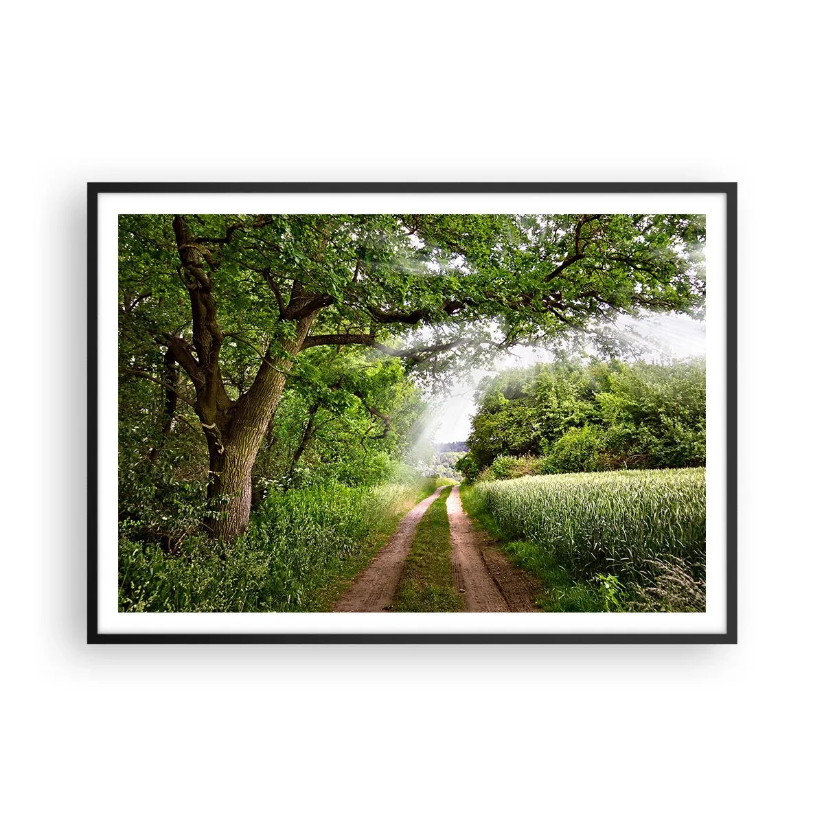 Poster in einem schwarzem Rahmen - Eine unbefestigte Straße zwischen grünen Bäumen und Sonnenlicht - 100x70cm - Et in Arcadia ego - Moderne Wanddekoration für Wohnzimmer und Schlafzimmer ARTTOR
