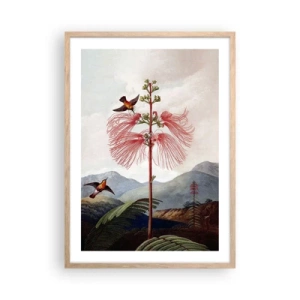 Poster in einem Rahmen aus heller Eiche - In einem tropischen Paradies - 50x70 cm