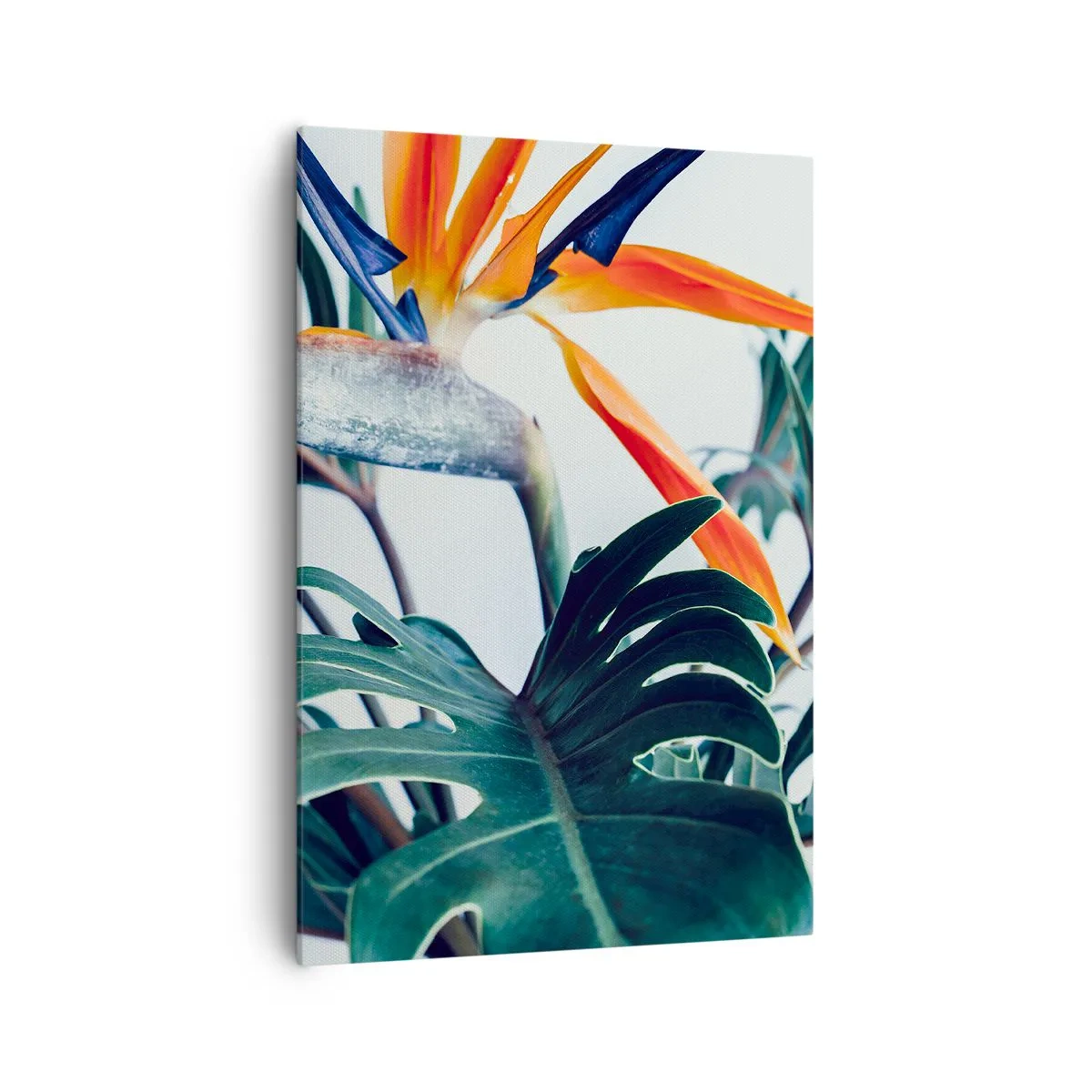 Bild auf Leinwand - Leinwandbild - Strelitzia-Blüte, umgeben von Blättern in hellem Licht - 70x100cm - Vogelbusch - Moderne Wanddekoration für Wohnzimmer und Schlafzimmer ARTTOR