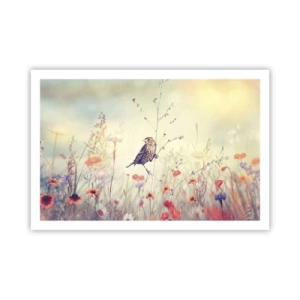 Poster - Vogelporträt mit einer Wiese im Hintergrund - 91x61 cm