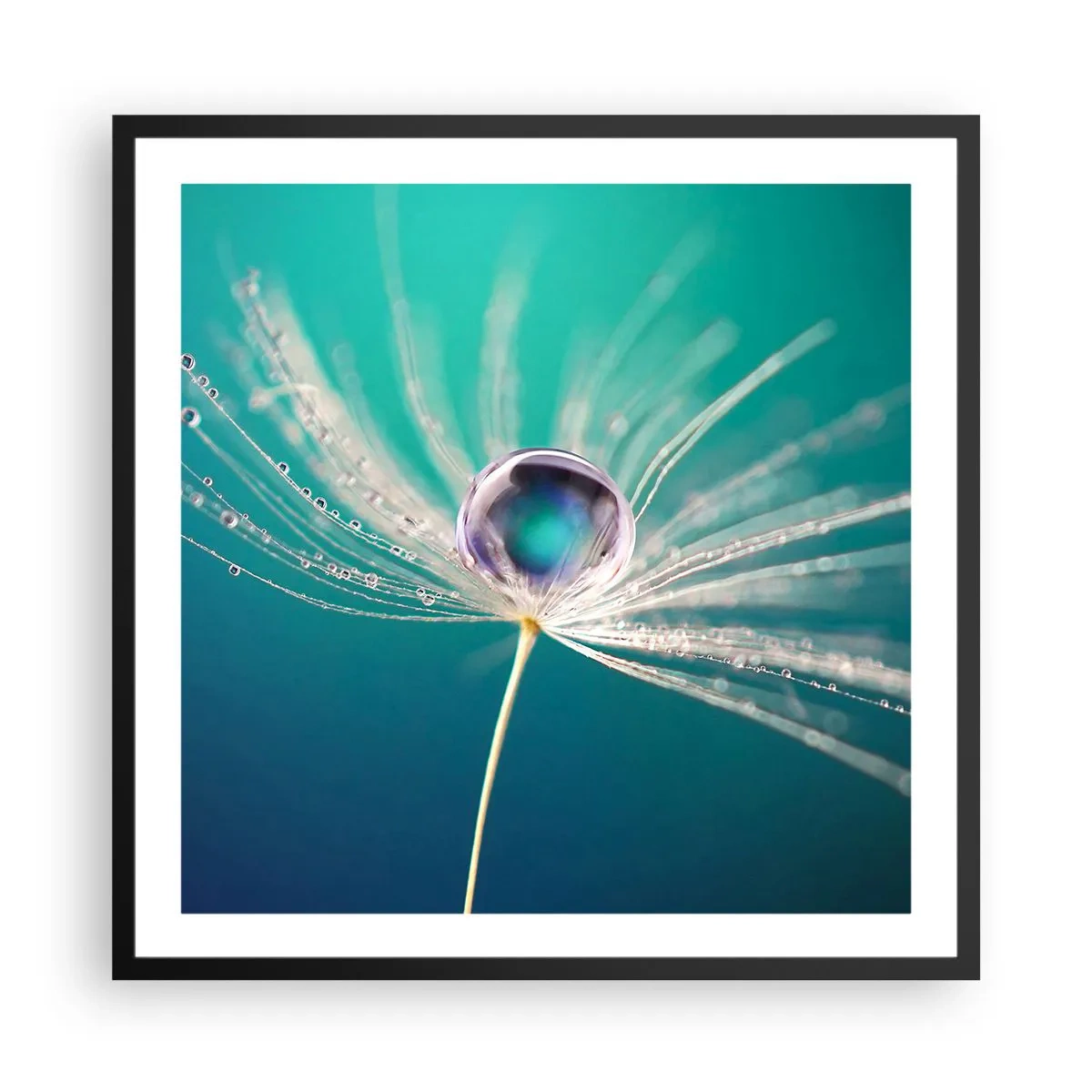Poster in einem schwarzem Rahmen - Mystischer Moment - 60x60 cm