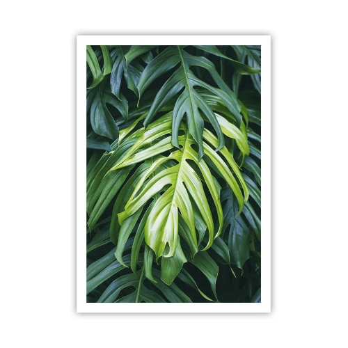 Poster - Tauchen Sie ein in die Frische - 70x100 cm