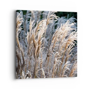 Bild auf Leinwand - Leinwandbild - Gekleidet mit Frost - 40x40 cm