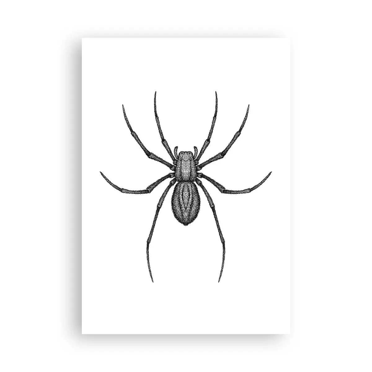 Poster - Beunruhigende Präzision - 70x100 cm