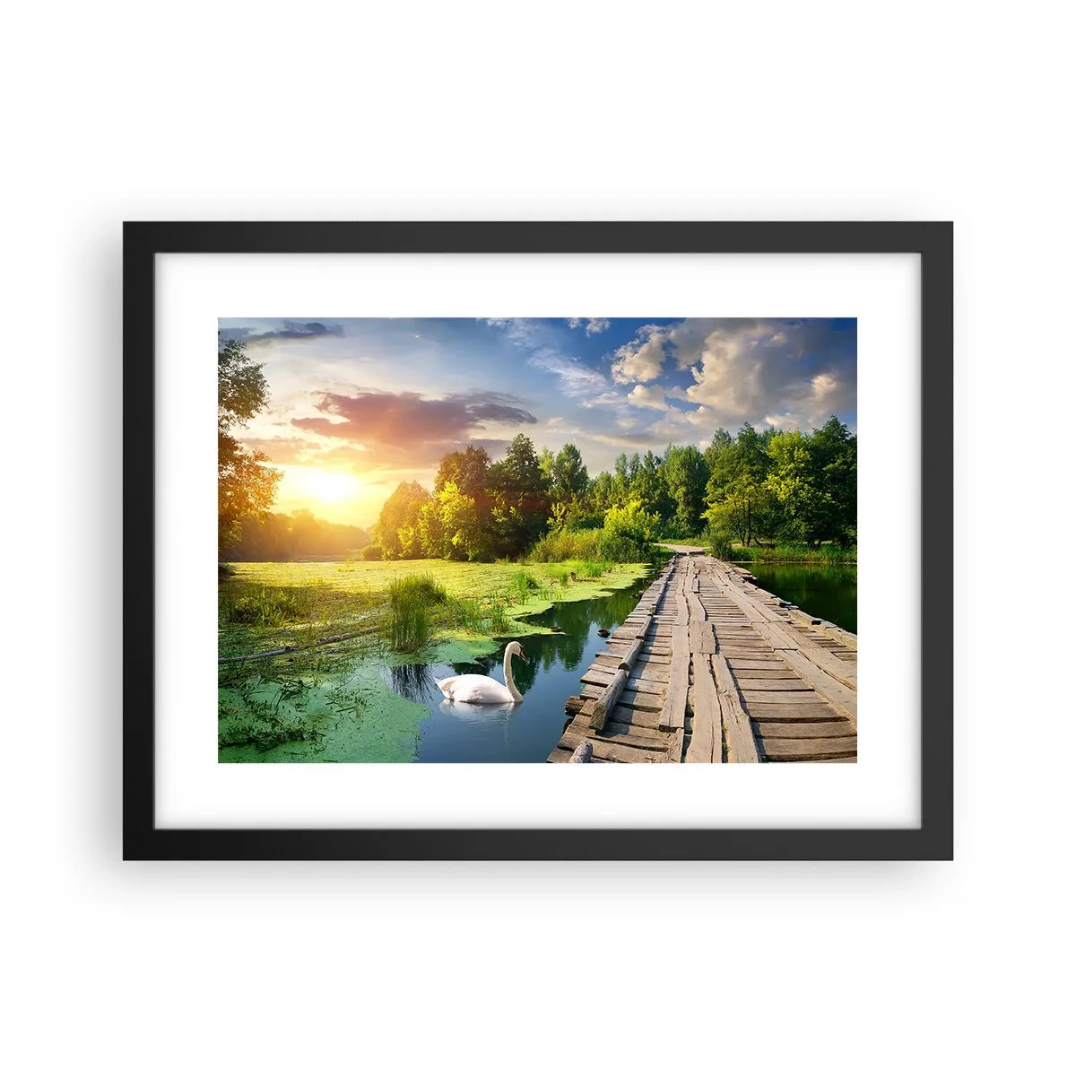Poster in einem schwarzem Rahmen - Sommer, Sommer überall - 40x30 cm