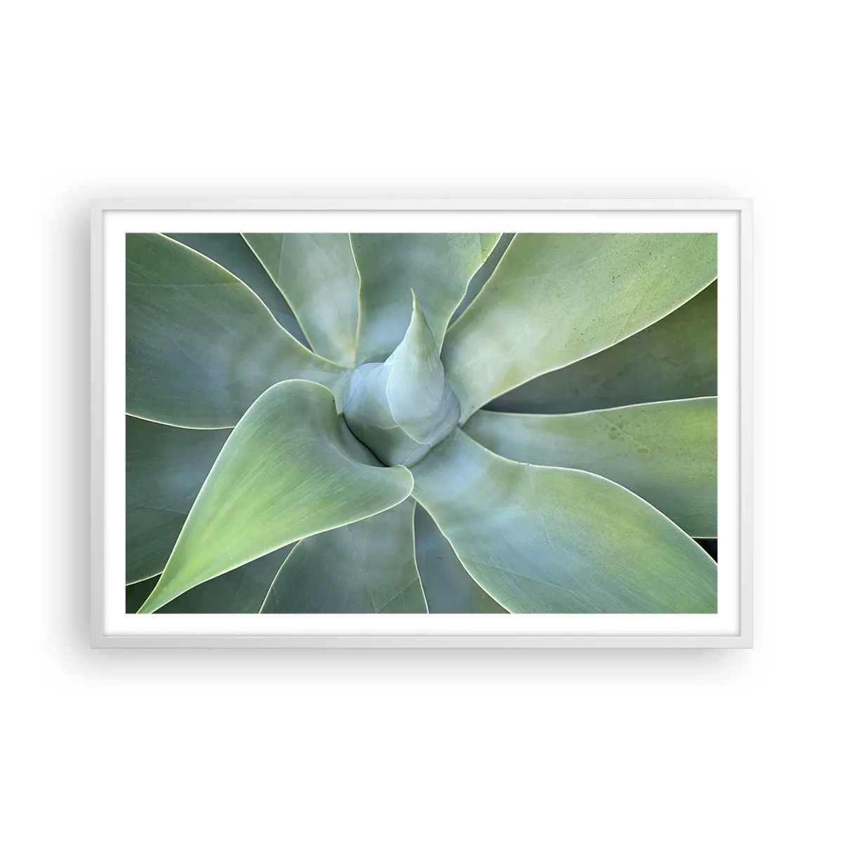 Poster in einem weißen Rahmen - Geburt des Grüns - 91x61 cm