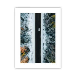 Poster - Schnitt durch den Winterwald - 30x40 cm