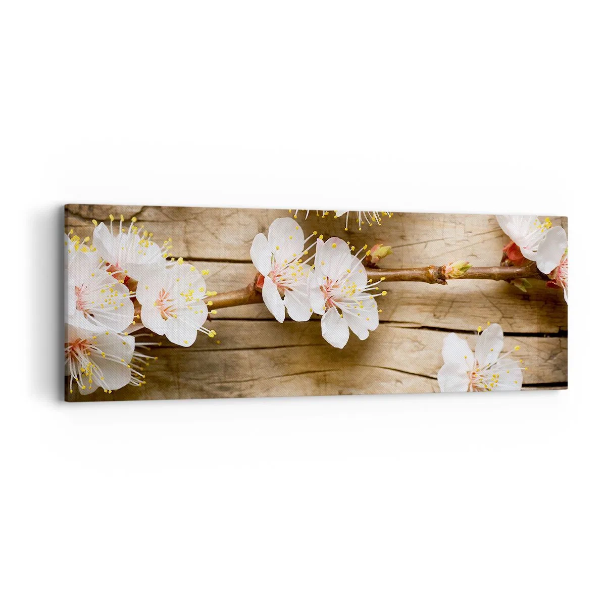 Bild auf Leinwand - Leinwandbild - Und es war Frühling - 90x30 cm