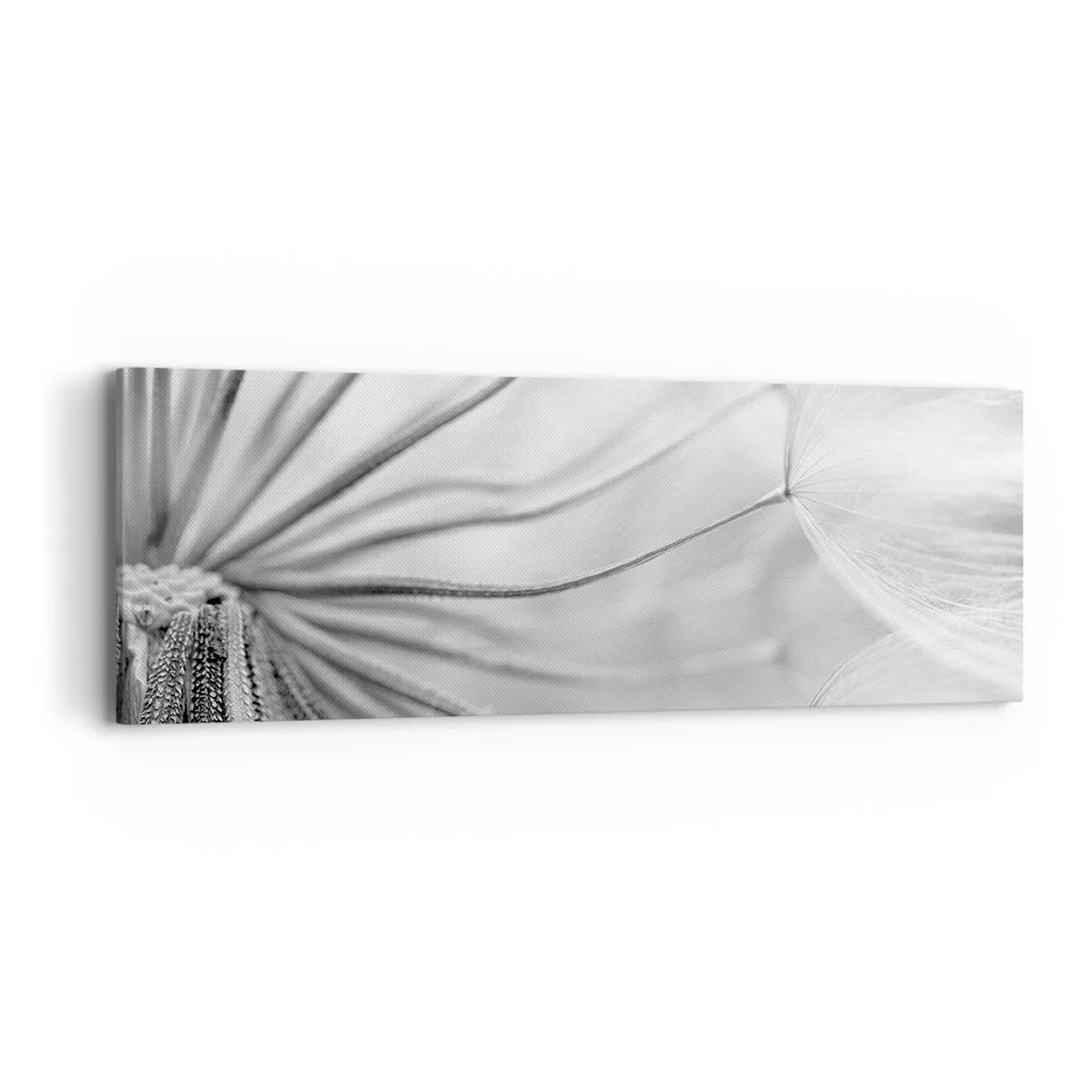 Bild auf Leinwand - Leinwandbild - Löwenzahn, Drachen - 90x30 cm
