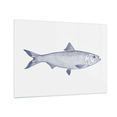 Glasbild - Bild auf glas - Fischskizze im Vintage-Stil auf hellem Hintergrund - 70x50cm - Grüße aus den nördlichen Meeren - Moderne Wanddekoration für Wohnzimmer und Schlafzimmer ARTTOR
