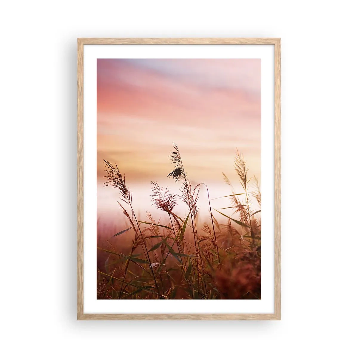 Poster in einem Rahmen aus heller Eiche - Drachen, Löwenzahn, Wind - 50x70 cm