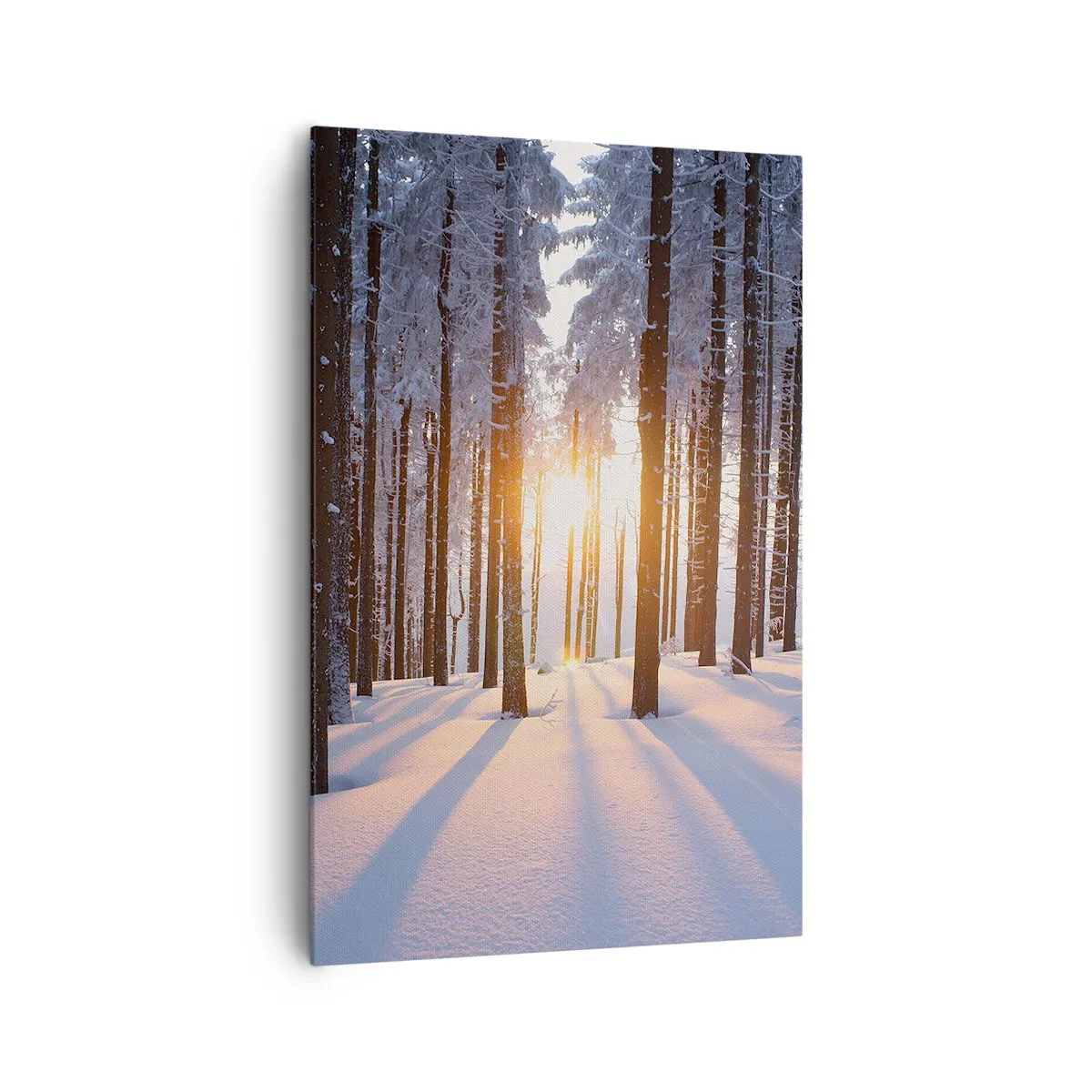 Bild auf Leinwand - Leinwandbild - Winterwald, beleuchtet von den Sonnenstrahlen - 80x120cm - Ganz klar schwarz auf weiß - Moderne Wanddekoration für Wohnzimmer und Schlafzimmer ARTTOR