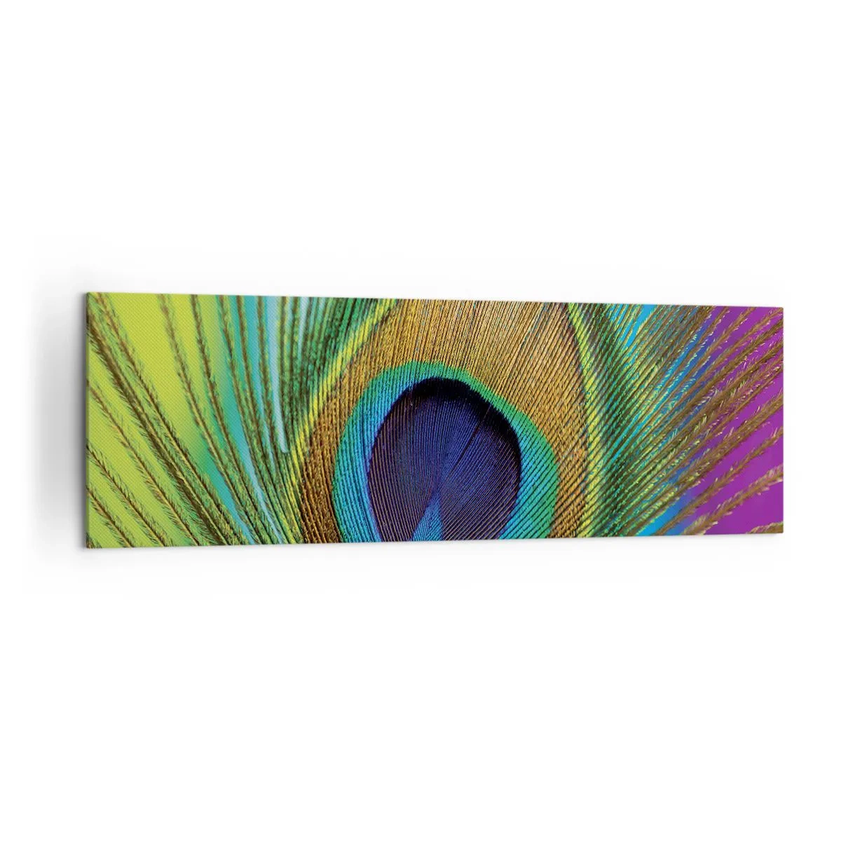 Bild auf Leinwand - Leinwandbild - Nahaufnahme einer Pfauenfeder mit lebendigen Farben - 160x50cm - Auge in Auge - Moderne Wanddekoration für Wohnzimmer und Schlafzimmer ARTTOR