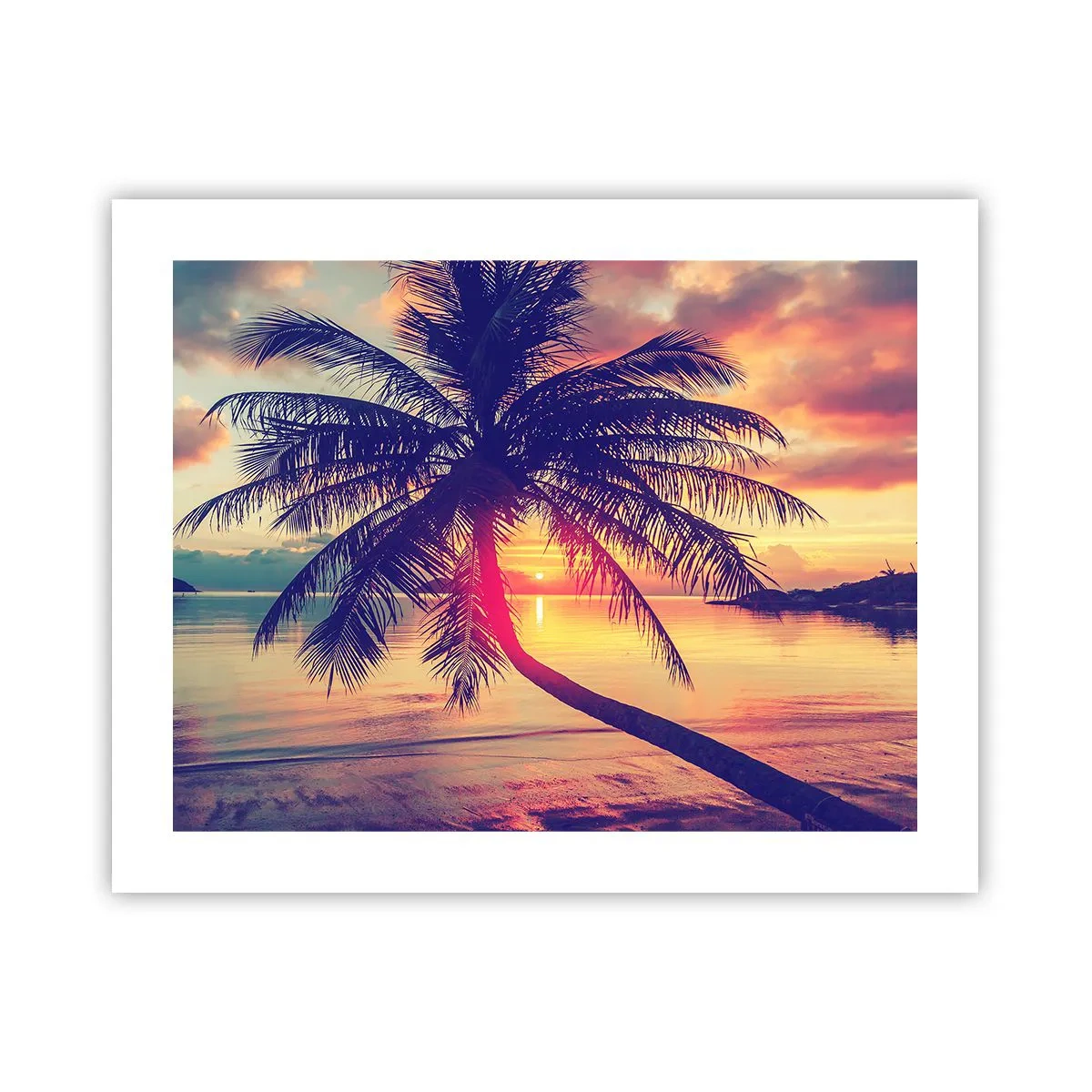 Poster - Abend unter Palmen - 50x40 cm