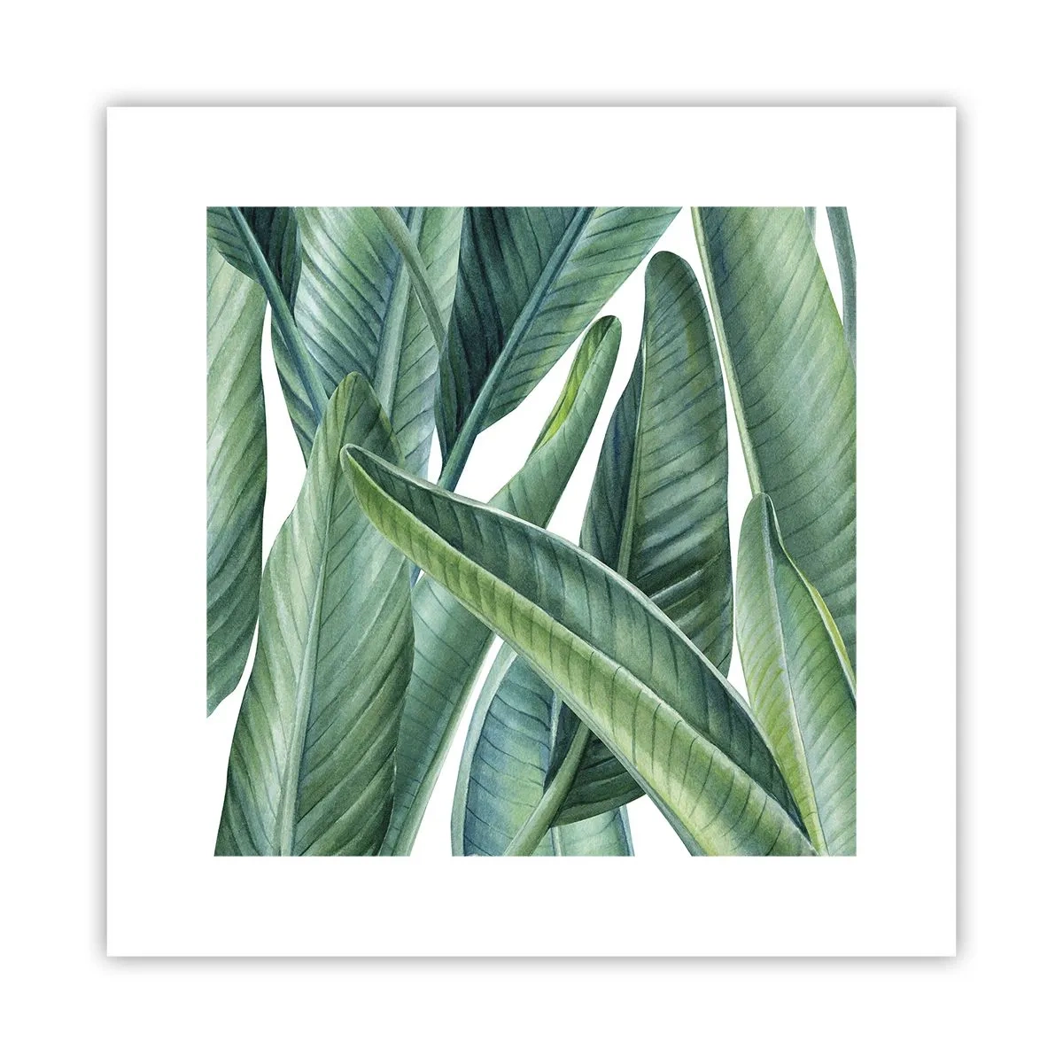 Poster - An und für sich Grün - 30x30 cm