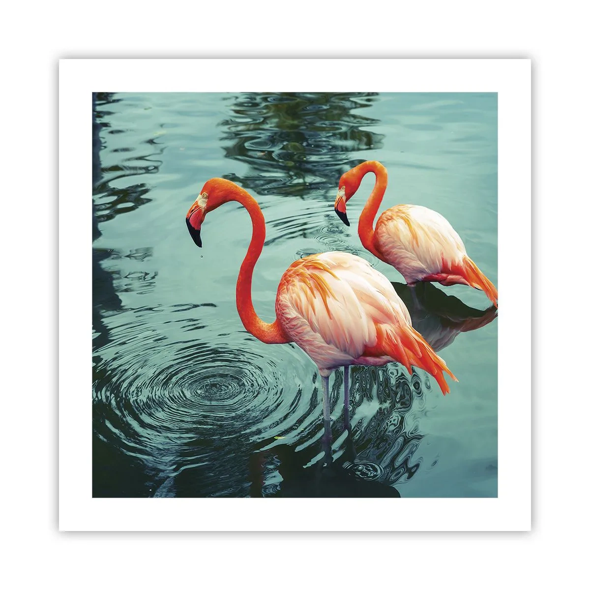 Poster - Wir sind jetzt in Mode - 50x50 cm