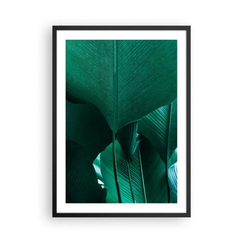 Poster in einem schwarzem Rahmen - Nahaufnahme großer grüner Blätter, die Struktur und Textur zeigen. - 50x70cm - Dem Licht zugewandt - Moderne Wanddekoration für Wohnzimmer und Schlafzimmer ARTTOR