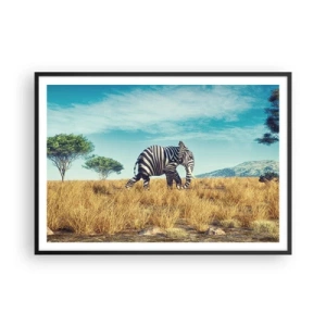 Poster in einem schwarzem Rahmen - Zebra in einer afrikanischen Landschaft - 100x70cm - Grau ist nicht mehr in Mode - Moderne Wanddekoration für Wohnzimmer und Schlafzimmer ARTTOR