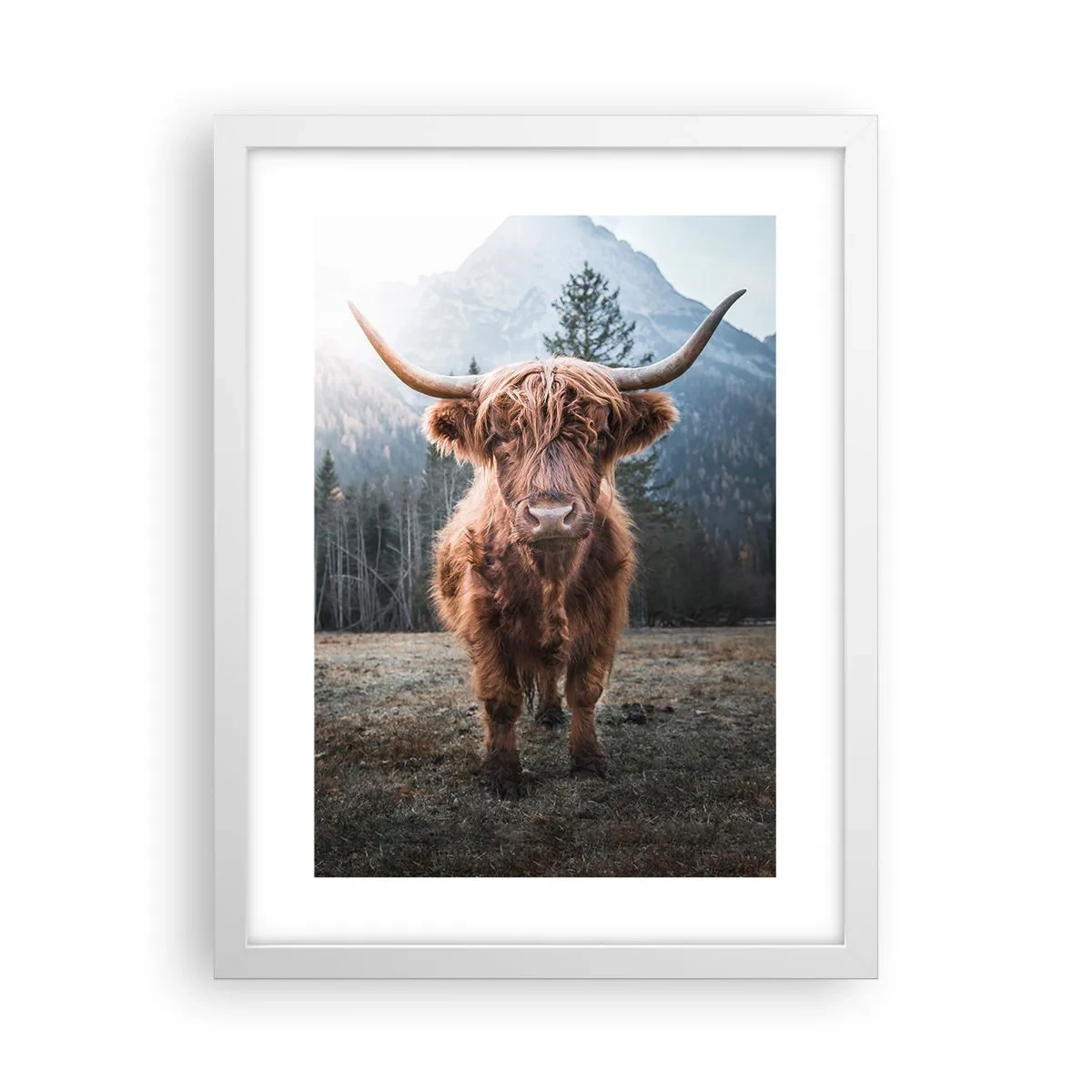 Poster in einem weißen Rahmen - Grüße von der Bergwiese - 30x40 cm